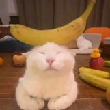 gtebb