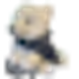 dotcomboom