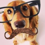 hsbjz